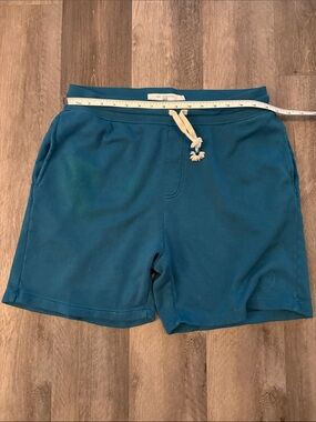 Sol Angeles Men's Turquoise Athletic Shorts, Size Large